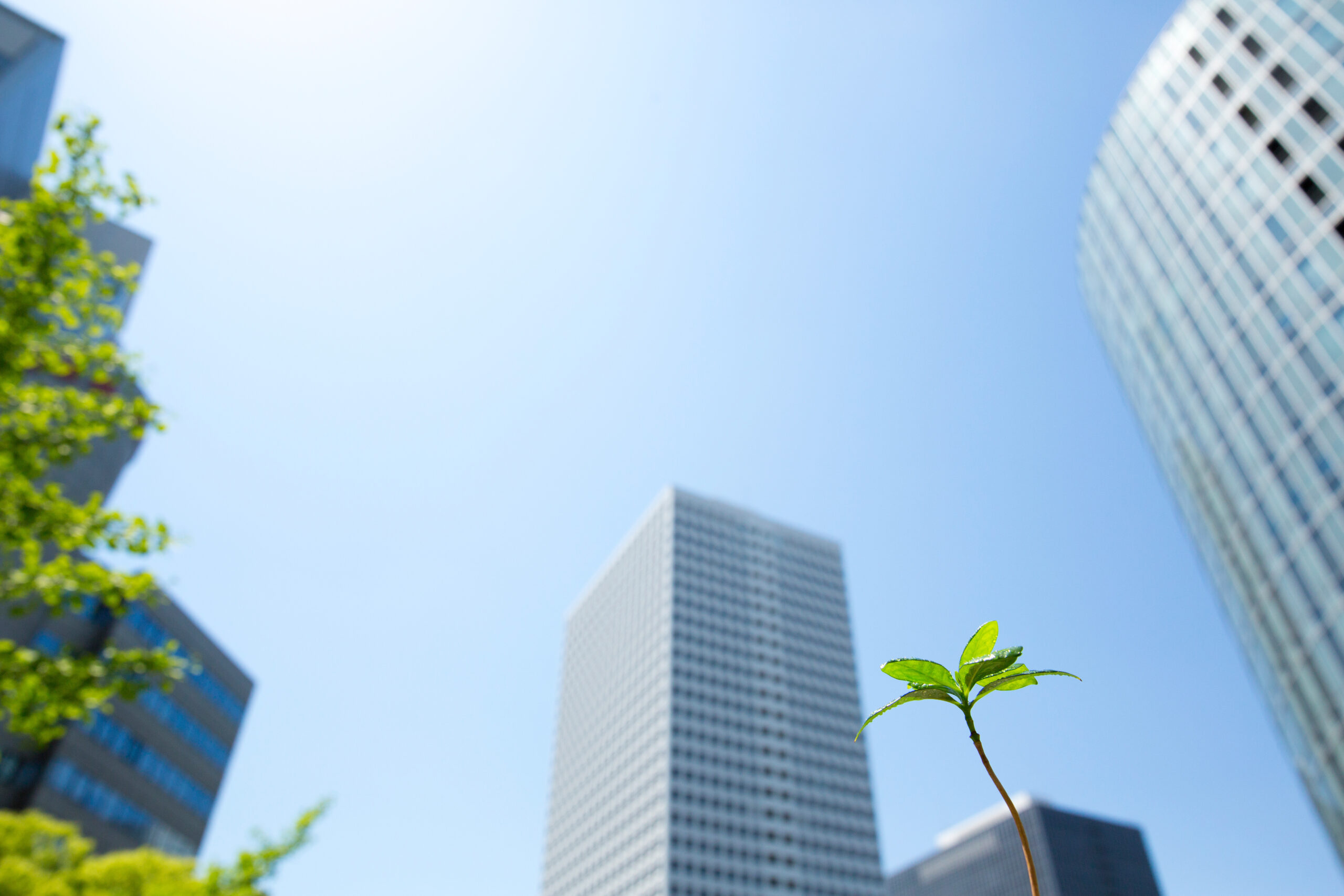 Vorbereitet auf die Zukunft statt in der CO2-Zwickmühle